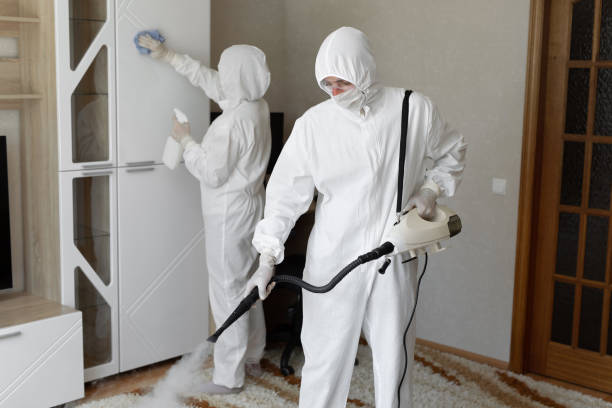 Crawl Space Mold Removal in Cherry Creek, CO